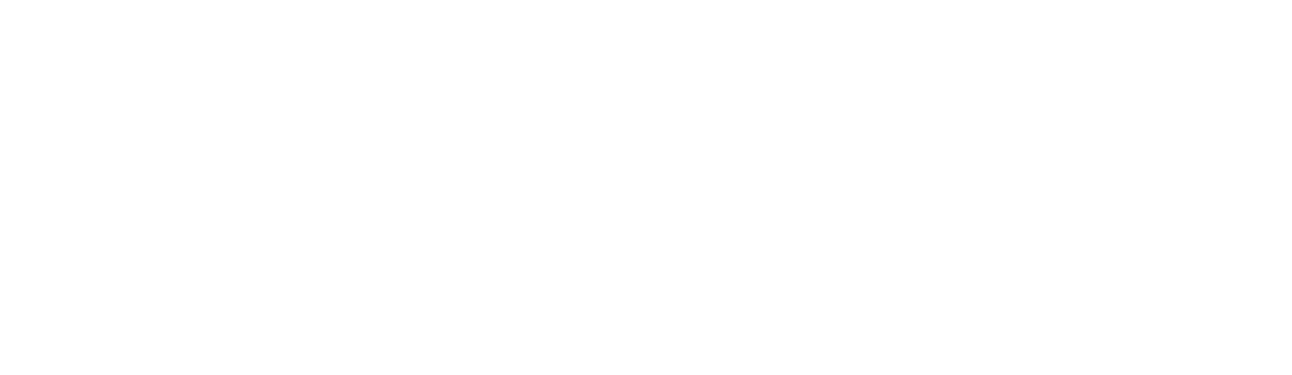 Octocare Logo